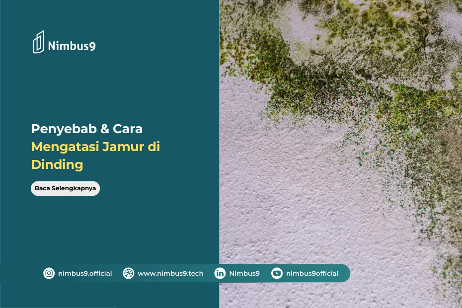 Penyebab & Cara Mengatasi Jamur di Dinding