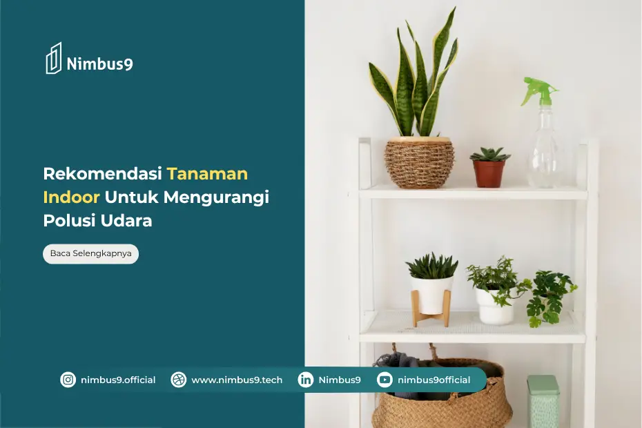 Rekomendasi Tanaman yang Ampuh Mengurangi Polusi Udara di Dalam Ruangan